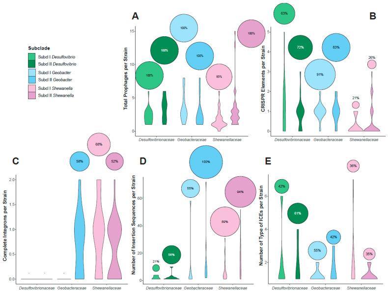 PMC11434368 – microorganisms-12-01796-f006