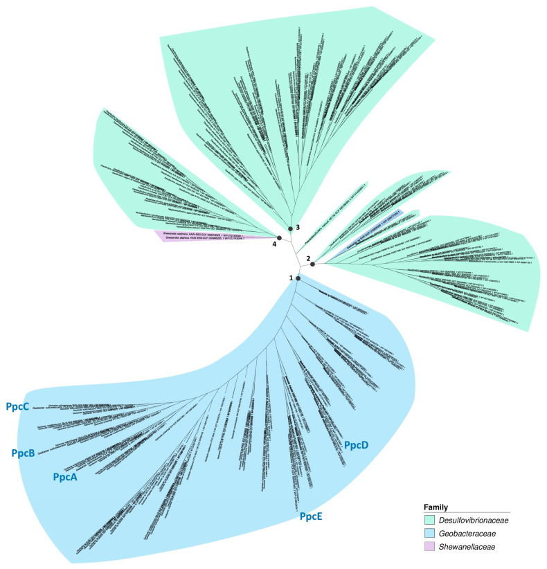 PMC11434368 – microorganisms-12-01796-f008