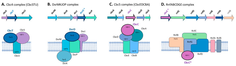 PMC11434368 – microorganisms-12-01796-f009