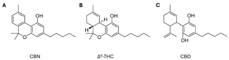 PMC11858408 – microorganisms-13-00325-f001