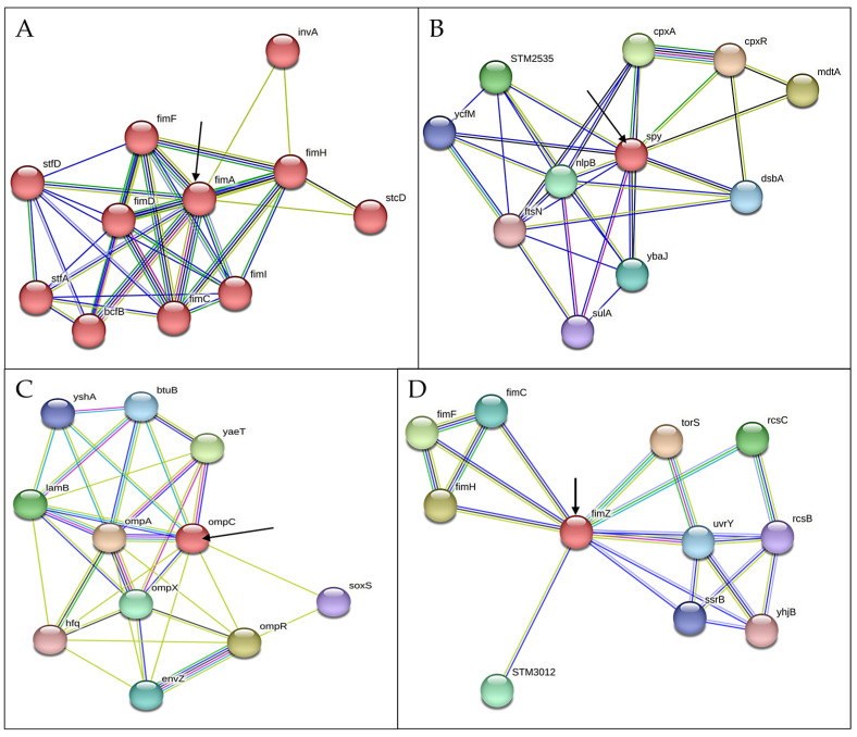 PMC11946568 – microorganisms-13-00551-f009