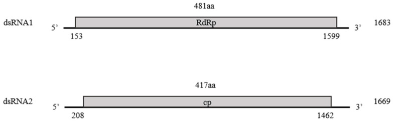 PMC12735021 – microorganisms-13-02682-f002