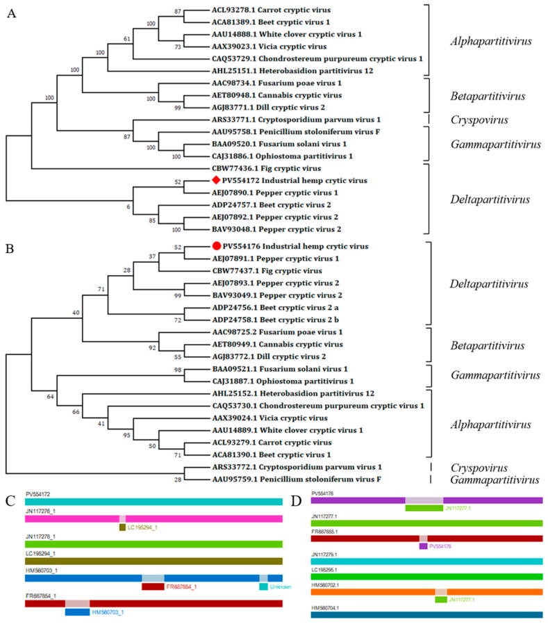 PMC12735021 – microorganisms-13-02682-f003