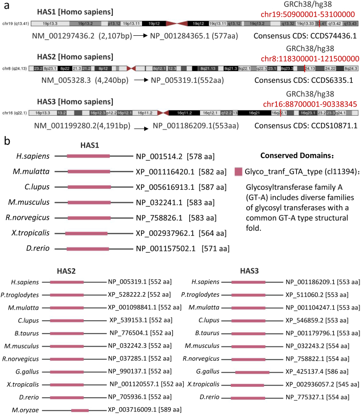 PMC10448108 – dfig1