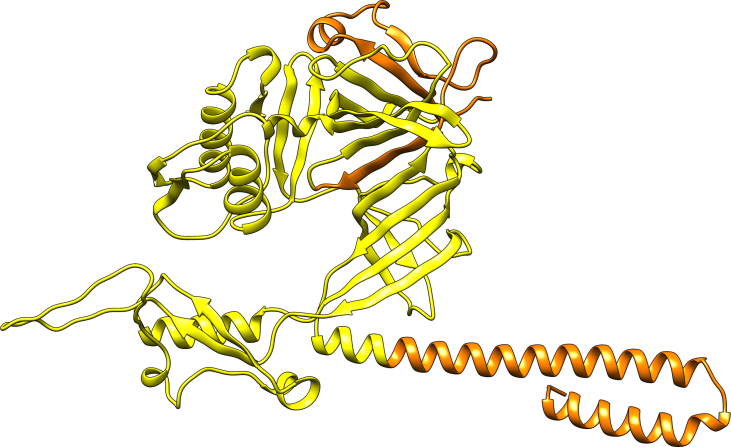 PMC11525621 – dfig1