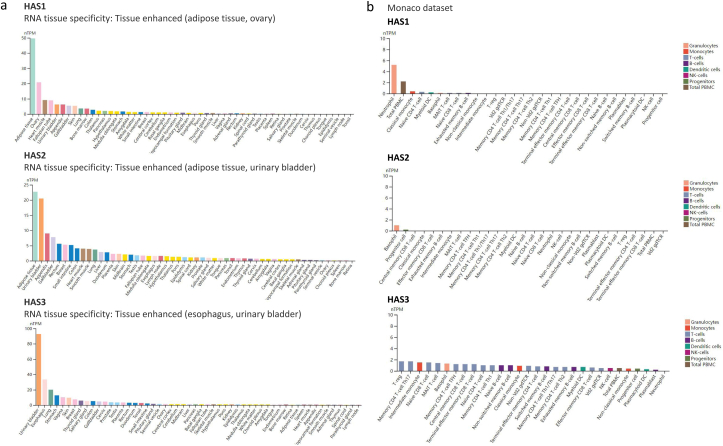 PMC10448108 – dfig2