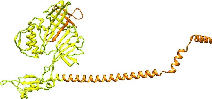 PMC11525621 – dfig2