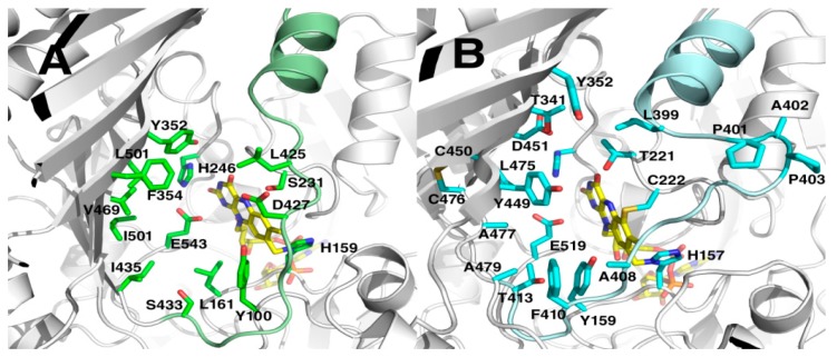 PMC6017366 – molecules-23-00111-f003