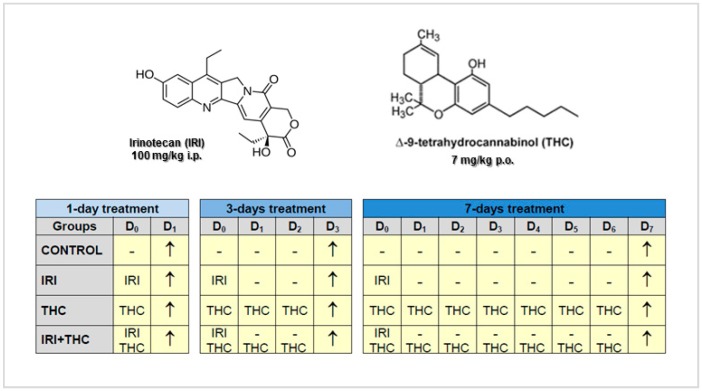 PMC6100385 – molecules-23-01332-f001