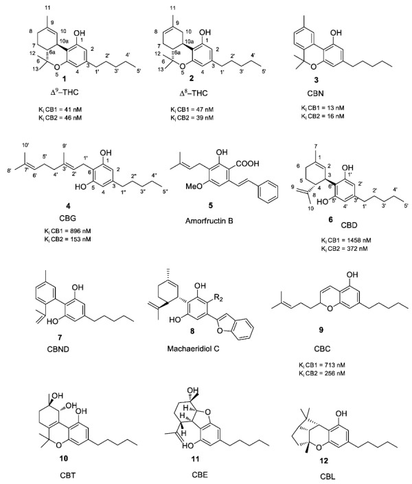 PMC6099582 – molecules-23-01526-f001