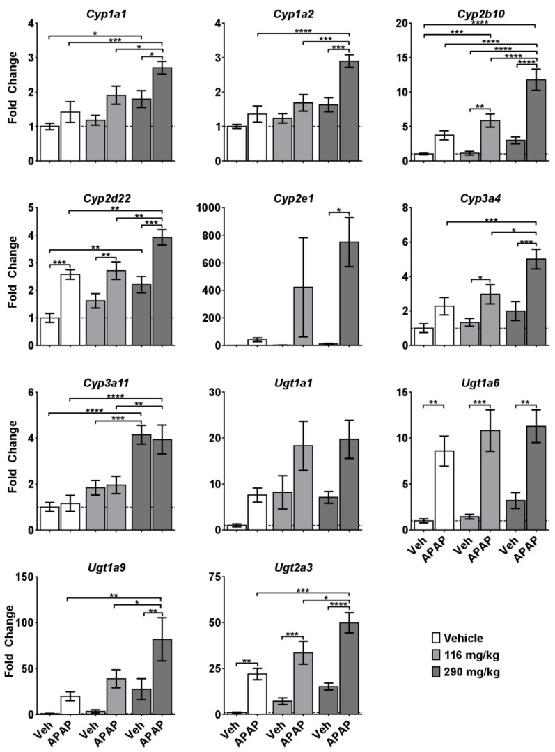 PMC6630875 – molecules-24-02256-f003