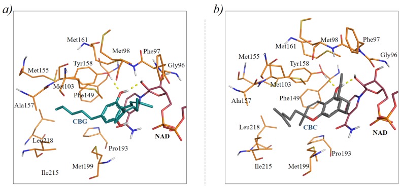 PMC6680637 – molecules-24-02567-f002