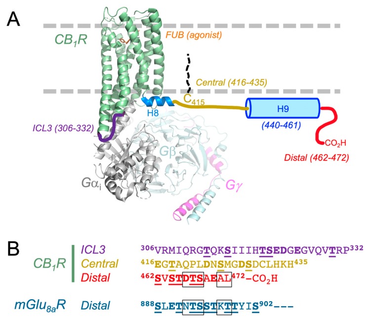 PMC6832298 – molecules-24-03672-f001