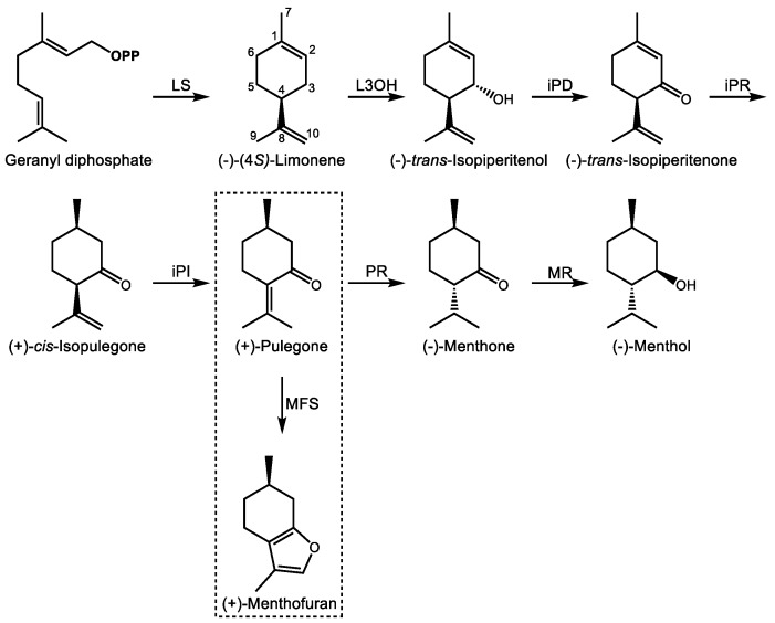PMC6864776 – molecules-24-03961-f003