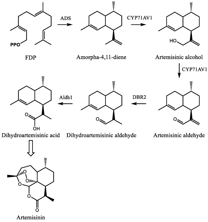 PMC6864776 – molecules-24-03961-f006