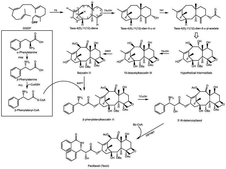 PMC6864776 – molecules-24-03961-f008