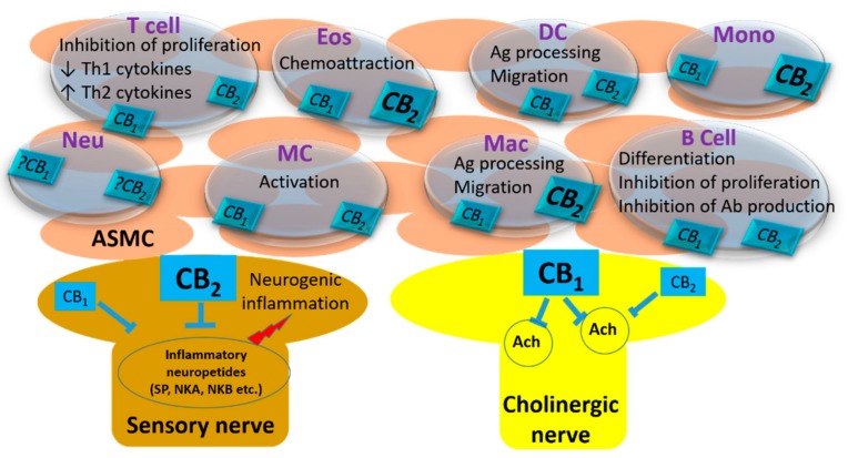 PMC6943521 – molecules-24-04626-f001