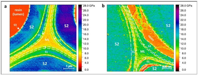 PMC7038022 – molecules-25-00632-f005