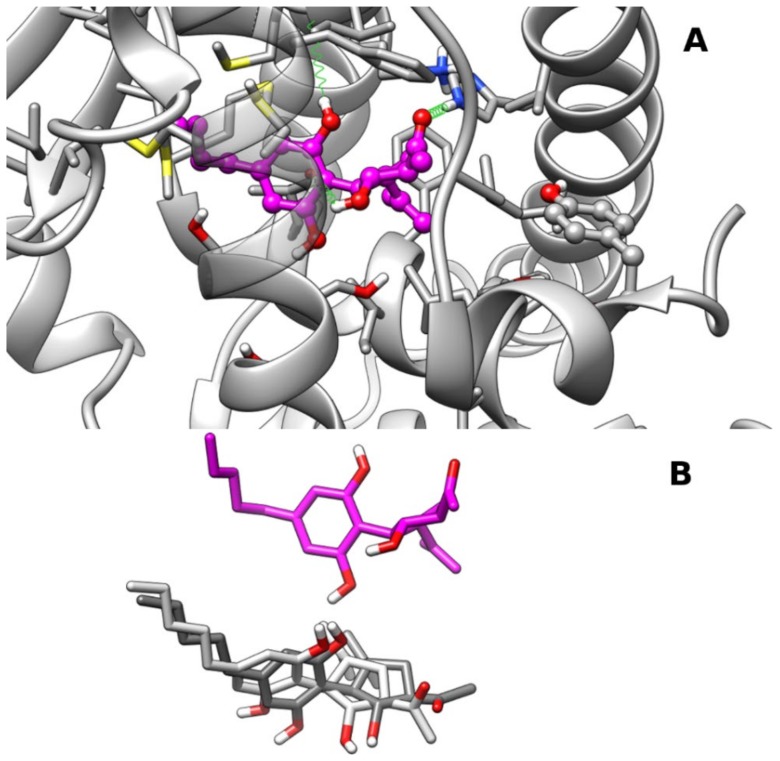 PMC7179127 – molecules-25-01119-f004