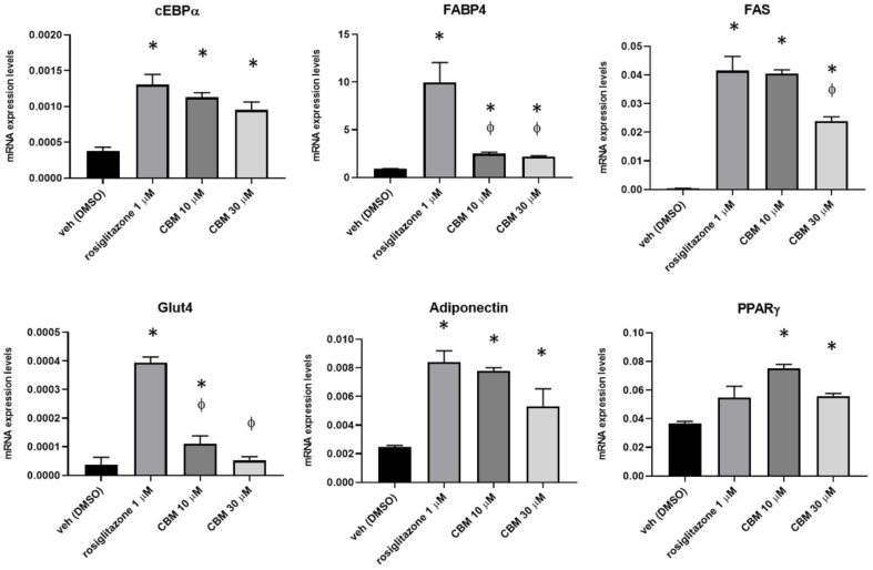 PMC7179127 – molecules-25-01119-f007