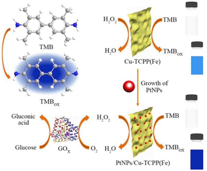 PMC7180910 – molecules-25-01598-f009