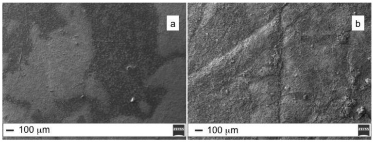 PMC7180436 – molecules-25-01696-f006
