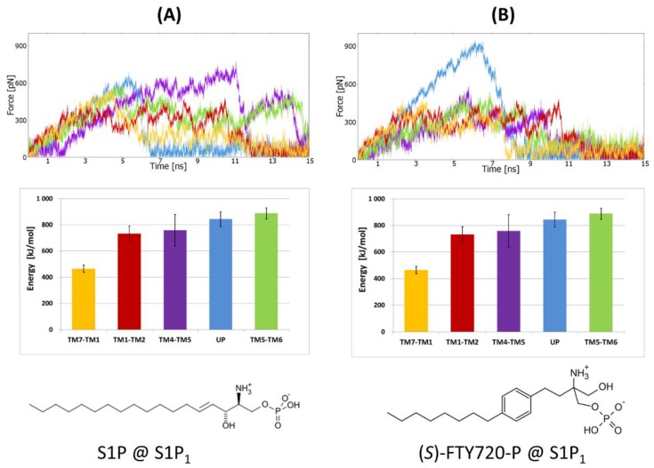 PMC7221835 – molecules-25-01930-f004