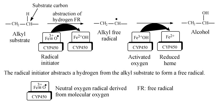 PMC7222001 – molecules-25-01937-f002