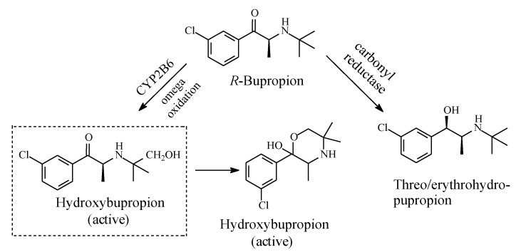 PMC7222001 – molecules-25-01937-f018