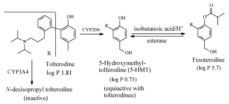PMC7222001 – molecules-25-01937-f021