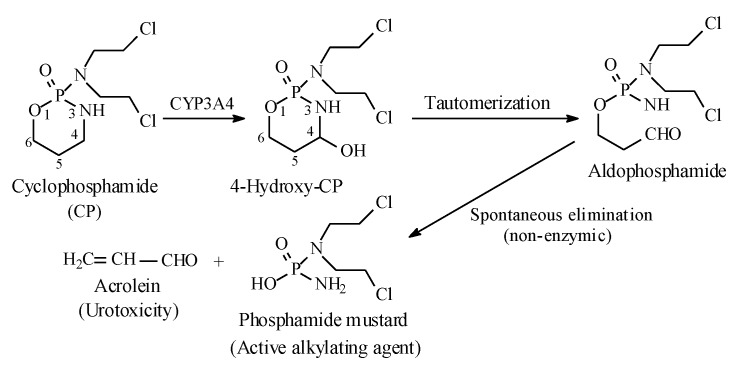 PMC7222001 – molecules-25-01937-f030