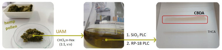 PMC7321064 – molecules-25-02638-f004
