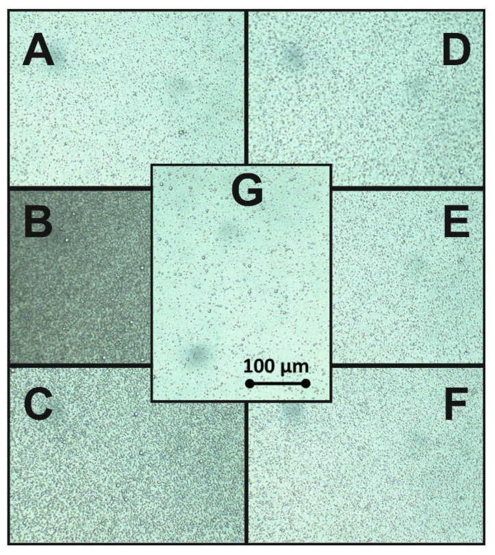 PMC7321345 – molecules-25-02696-f004