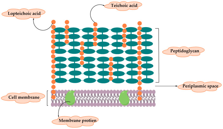 PMC7356343 – molecules-25-02888-f001