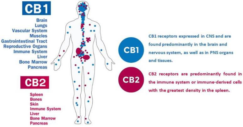 PMC7571138 – molecules-25-04036-f002