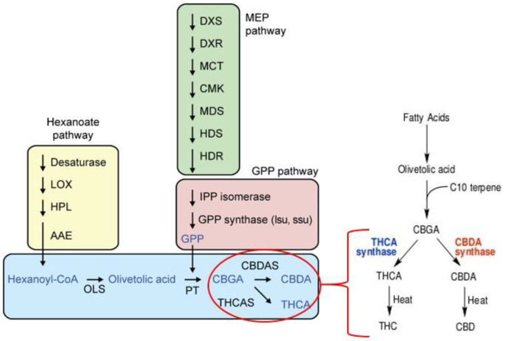 PMC7571138 – molecules-25-04036-f003
