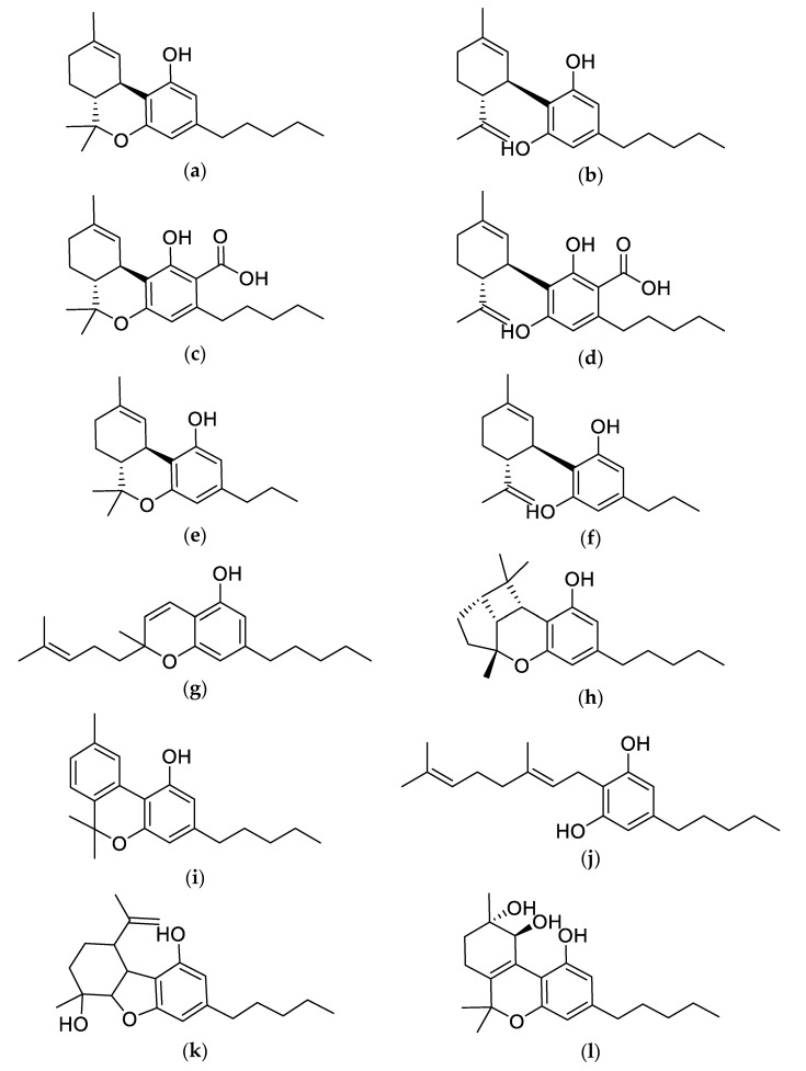 PMC7570835 – molecules-25-04042-f001