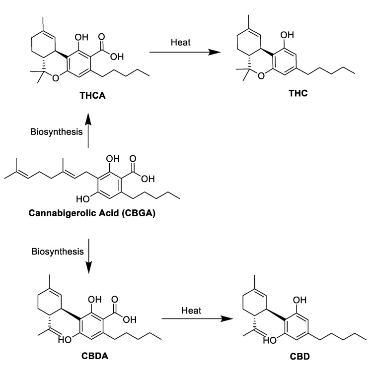 PMC7570835 – molecules-25-04042-f002