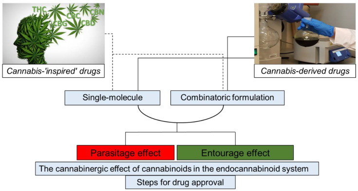 PMC7587964 – molecules-25-04821-f001