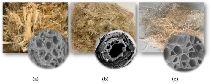 PMC7662593 – molecules-25-04933-f003