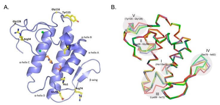 PMC7696373 – molecules-25-05290-f001