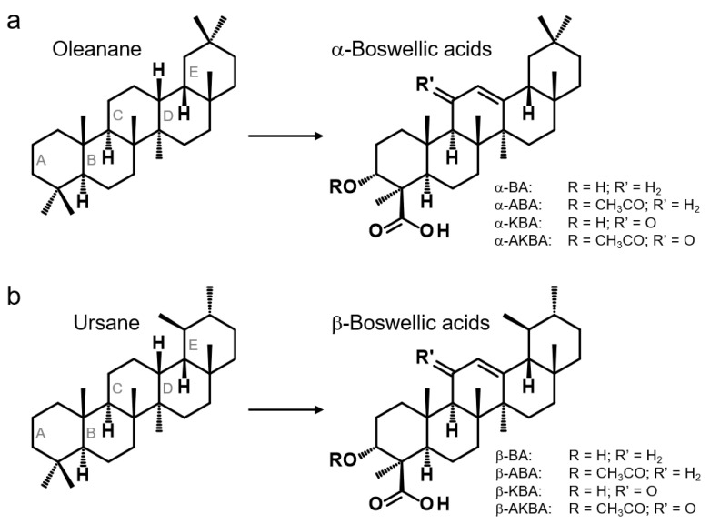 PMC7828217 – molecules-26-00366-f002