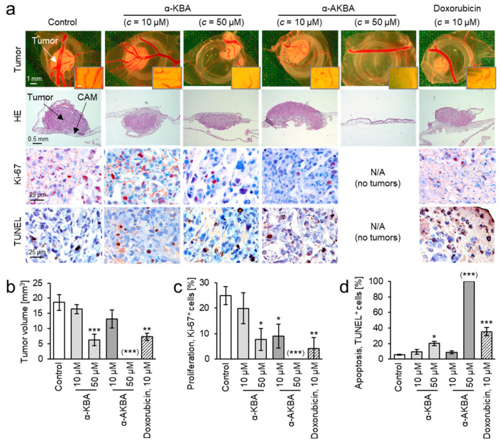 PMC7828217 – molecules-26-00366-f008