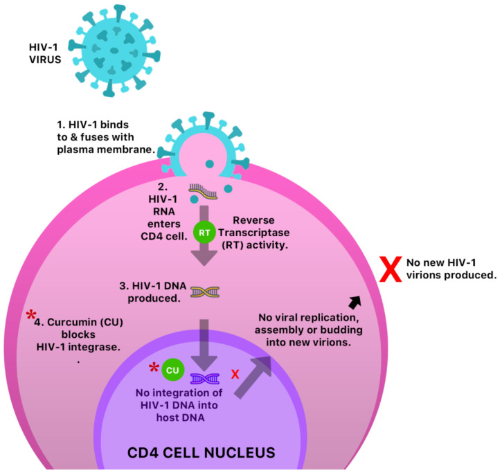 PMC7865499 – molecules-26-00607-f011