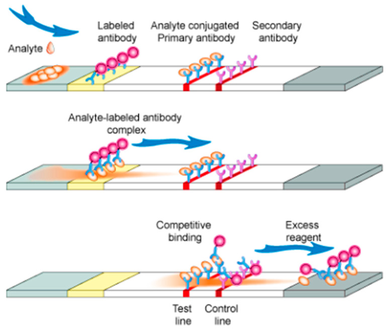 PMC7922373 – molecules-26-01058-f004