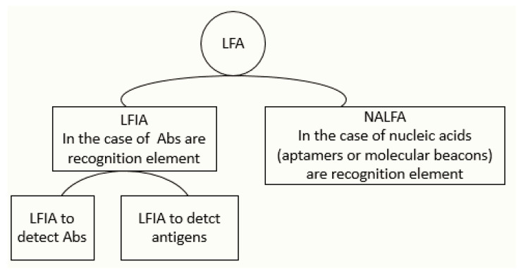 PMC7922373 – molecules-26-01058-sch003