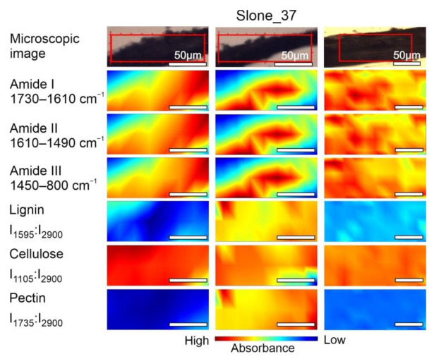 PMC7957794 – molecules-26-01314-f006
