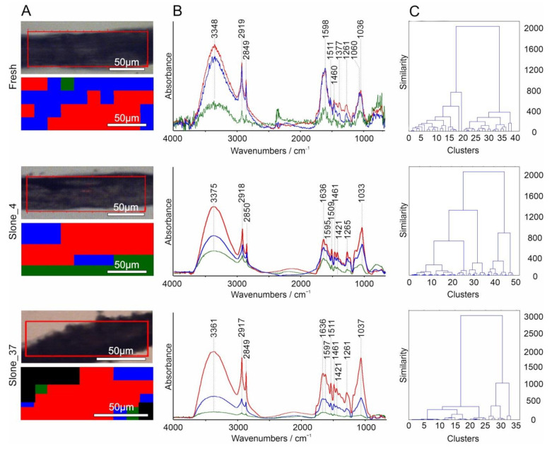PMC7957794 – molecules-26-01314-f007