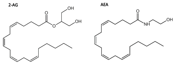 PMC8122825 – molecules-26-02456-f001