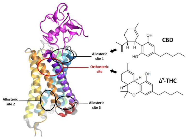 PMC8122825 – molecules-26-02456-f003